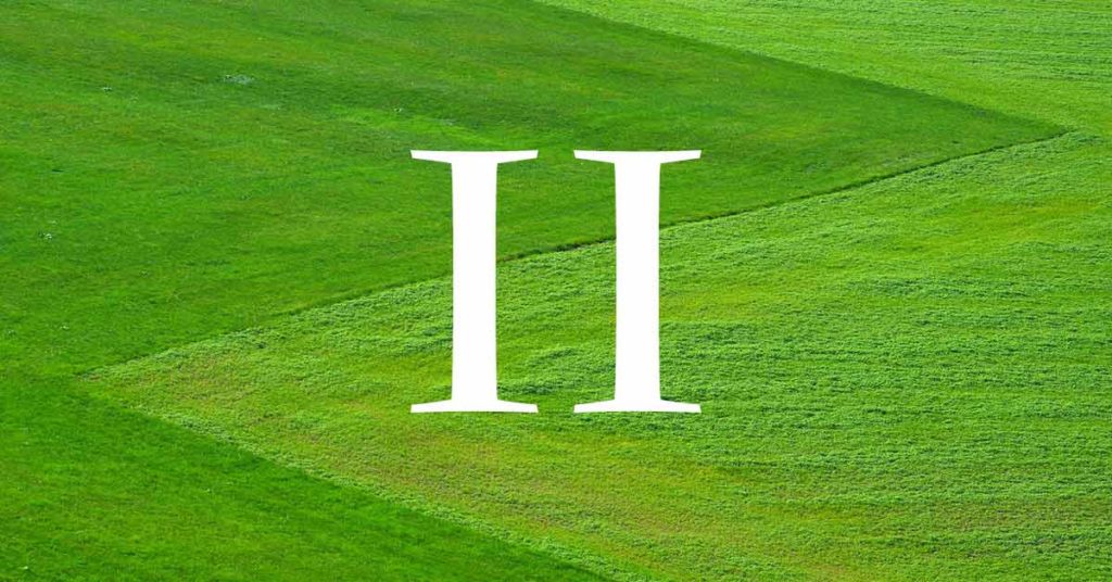 Die römische Zahl zwei in weiß vor einem grünen Rasen - Der Grundbuchauszug